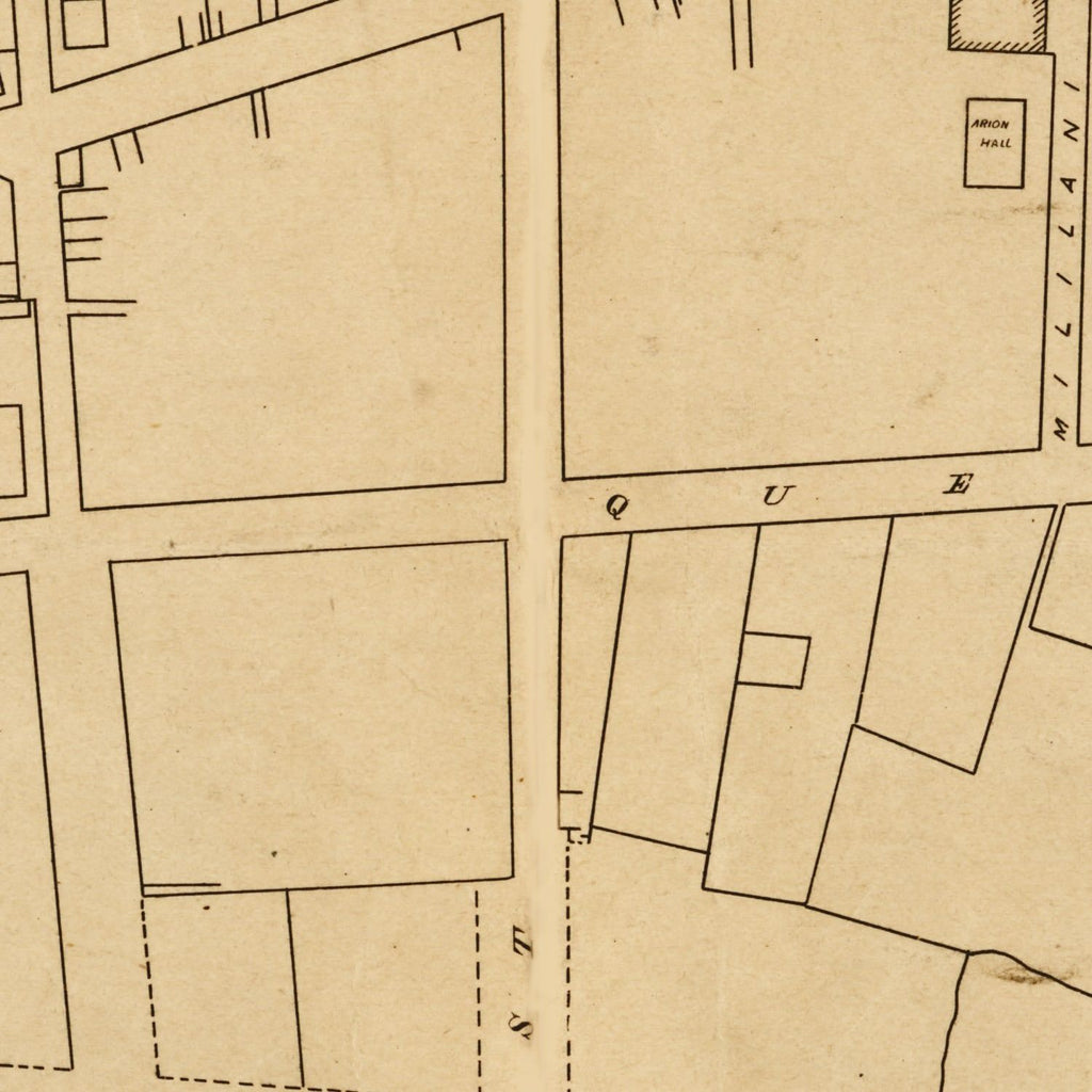 Vintage Map of Honolulu, Hawaii 1893