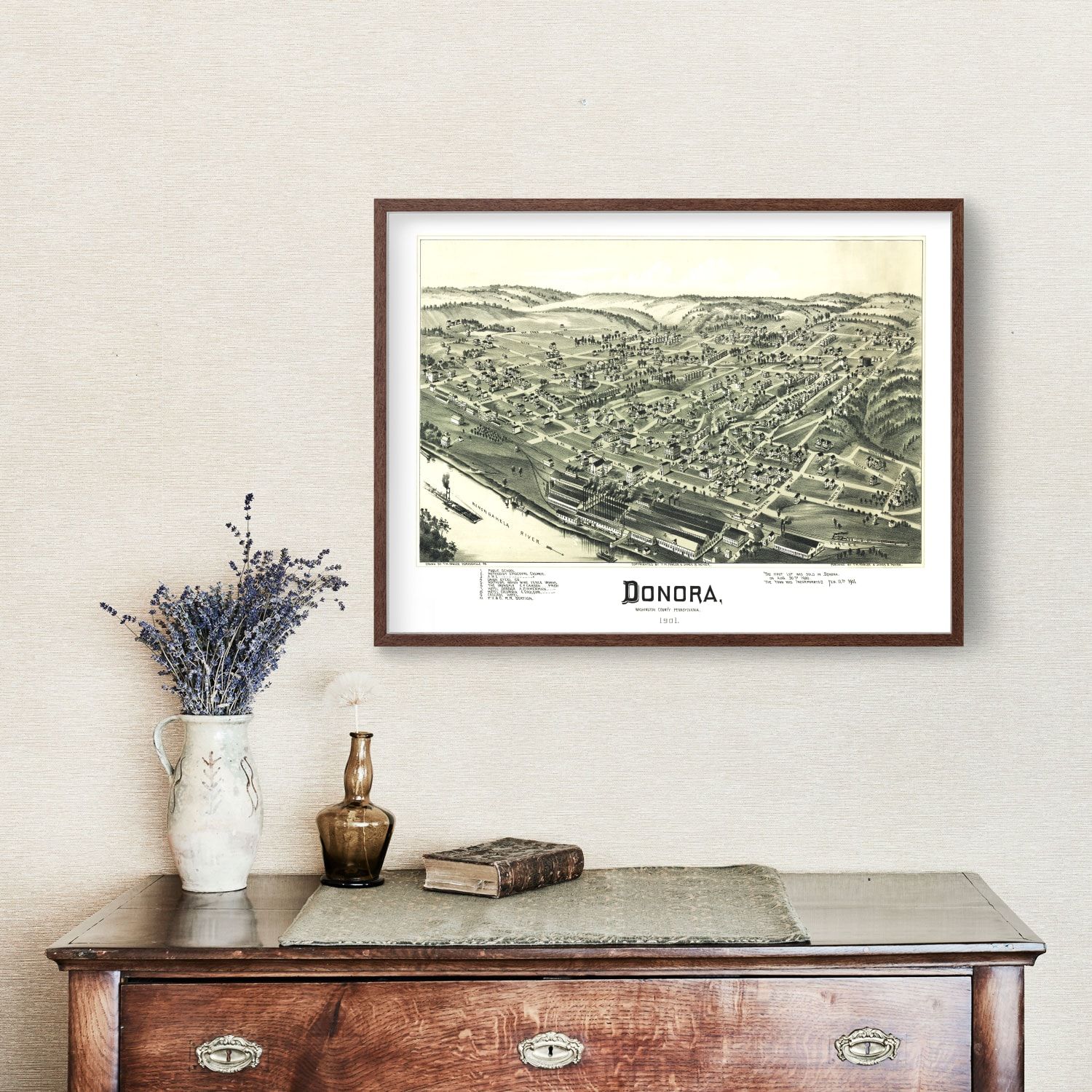 Vintage Map of Donora, Pennsylvania 1901