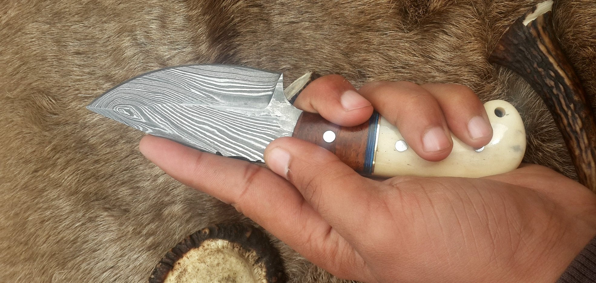 Damascus Steel Drop Point Skinning Knife with Bone and Rosewood Handle – 7 Inch Overall Length