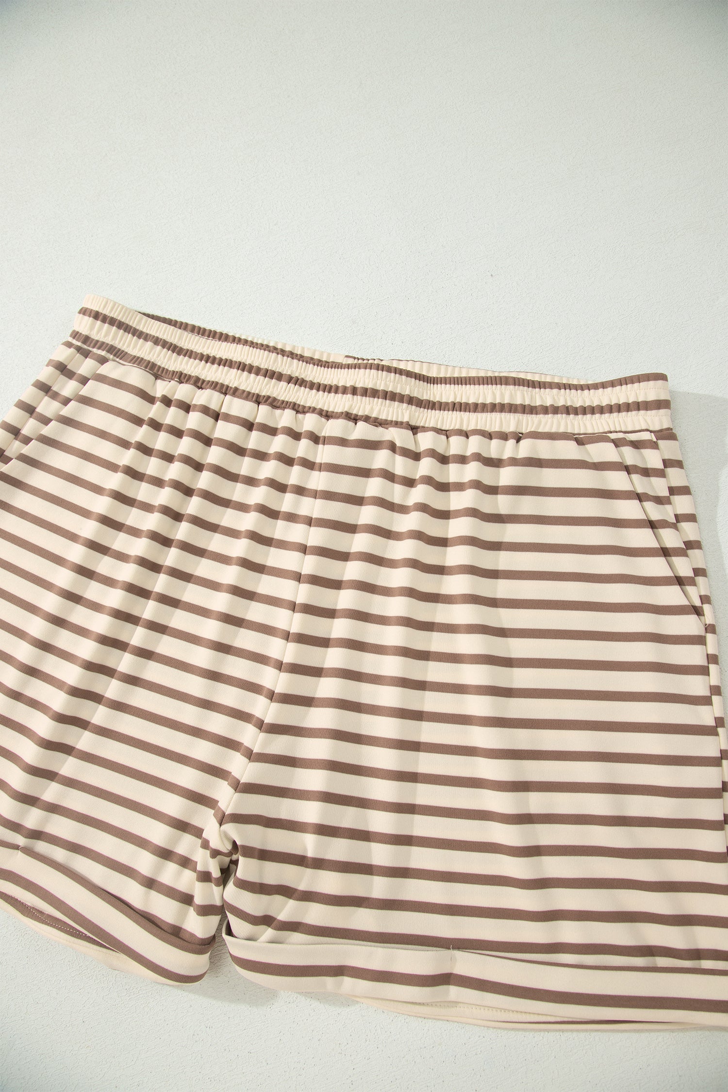 Plus Size Stripe Top & Elastic Waist Shorts Set