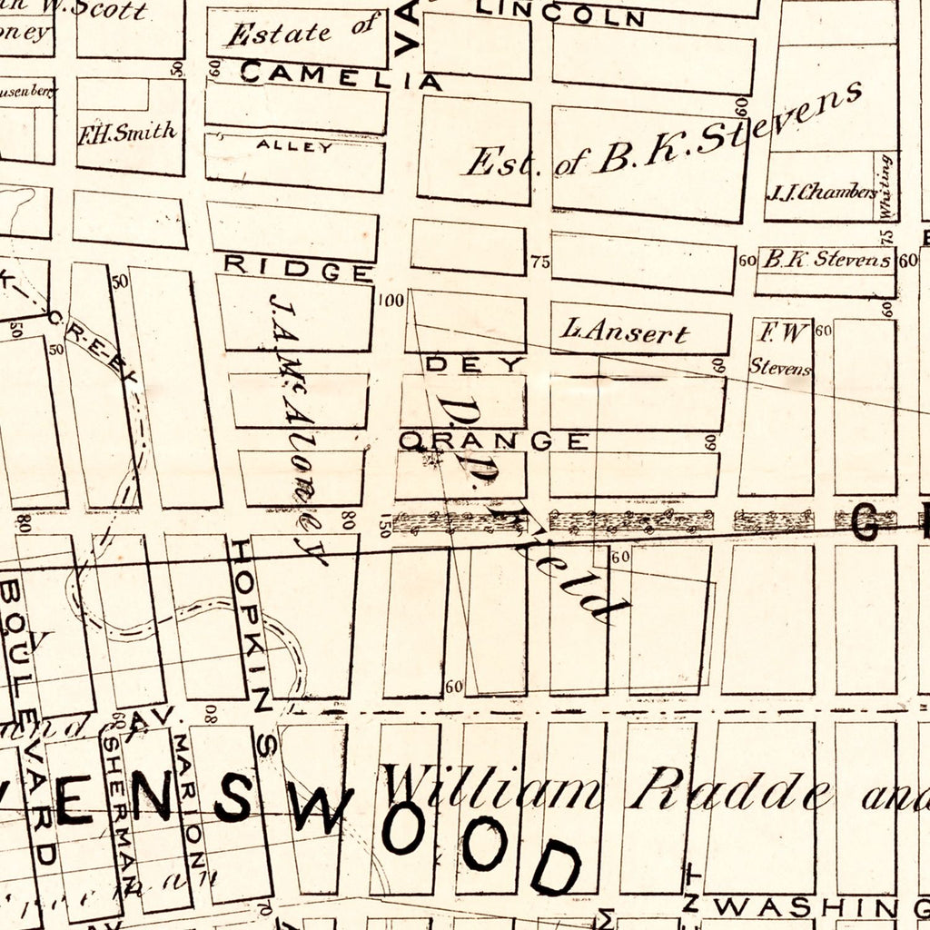 Vintage Map of Queens County, New York 1874