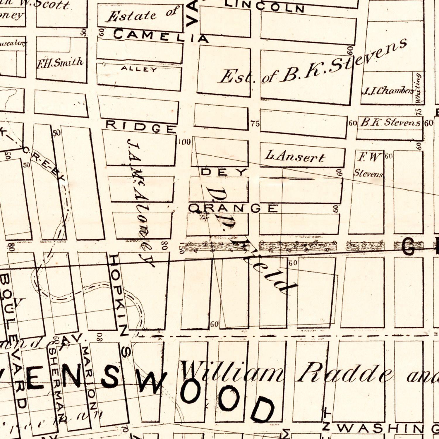 Vintage Map of Queens County, New York 1874