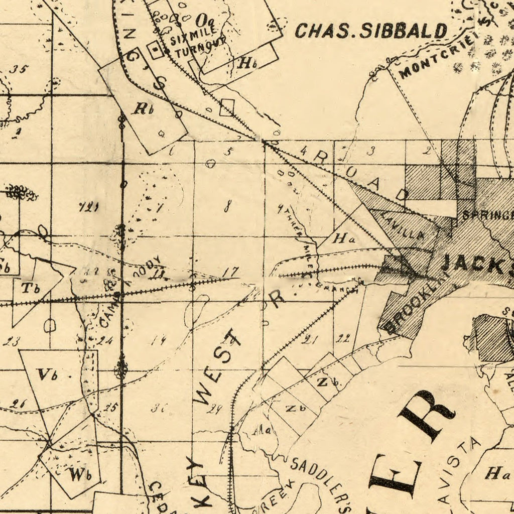 Vintage Map of Duval County, Florida 1885