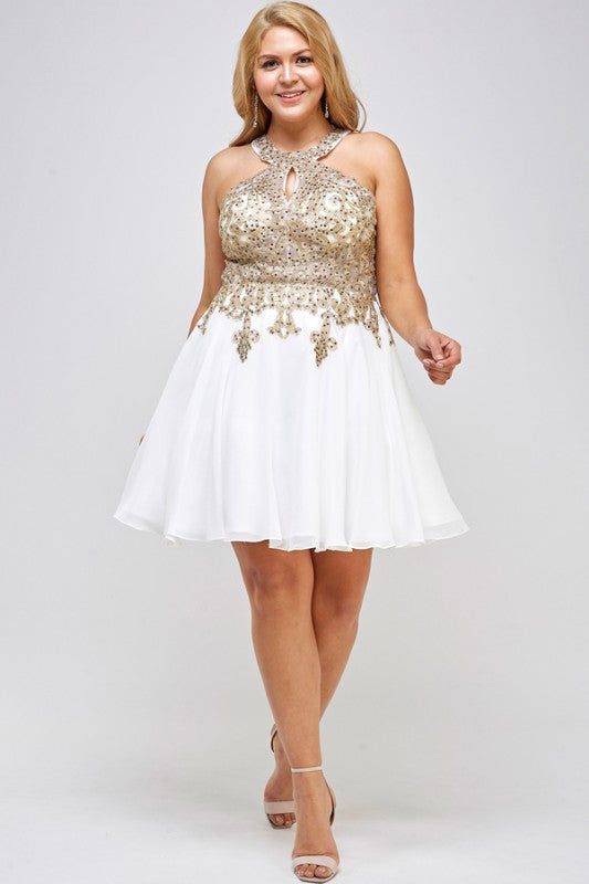 Gold embroidered plus size chiffon dress with built in tulle