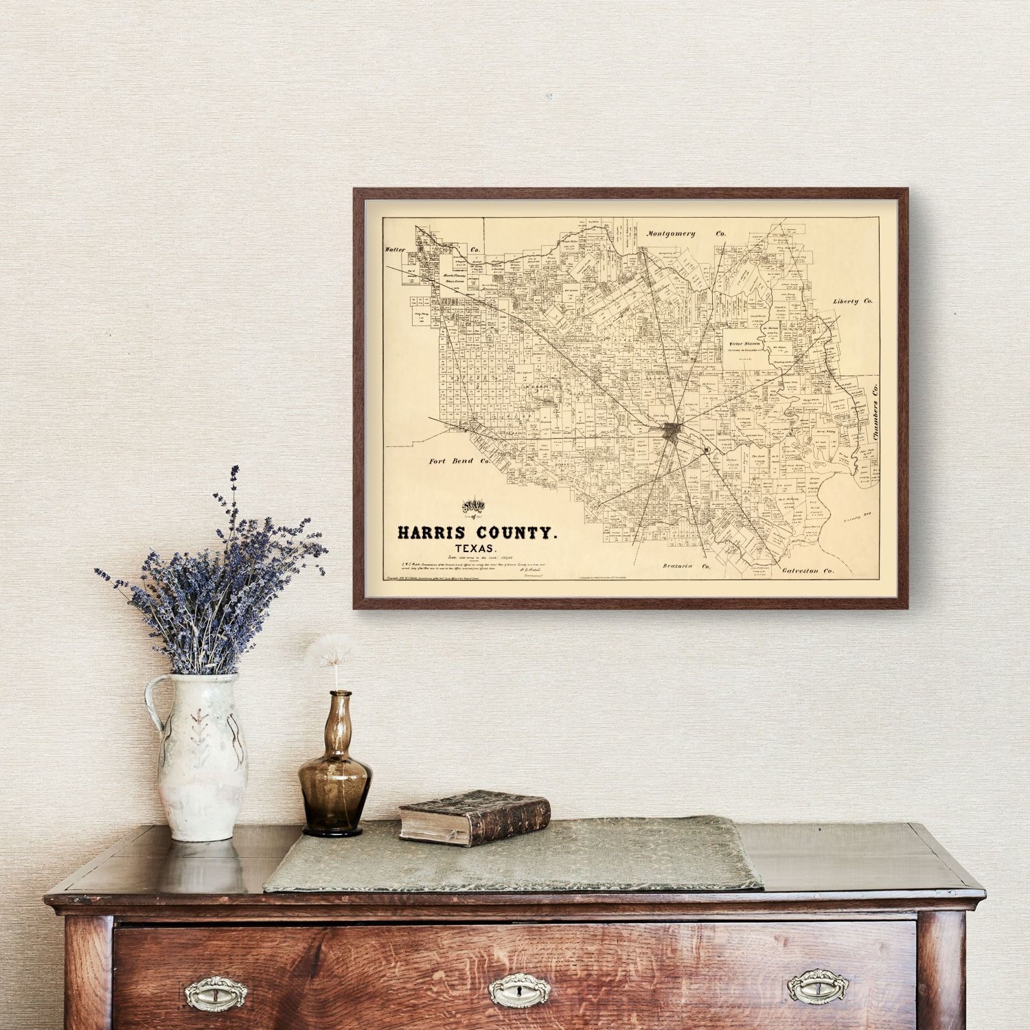 Vintage Map of Harris County, Texas 1879