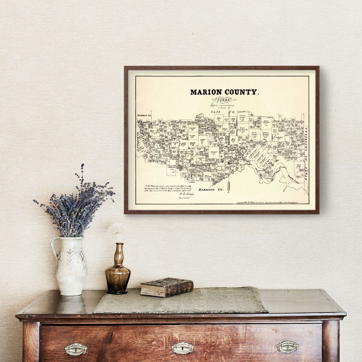 Vintage Map of Marion County, Texas 1879