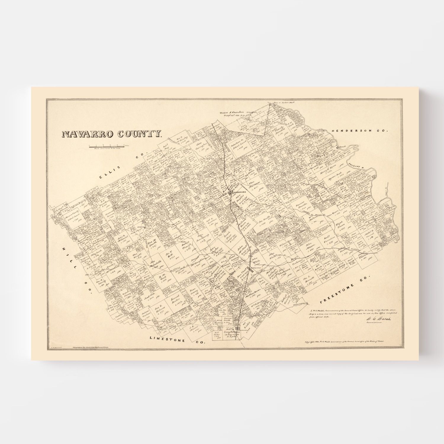 Vintage Map of Navarro County, Texas 1880
