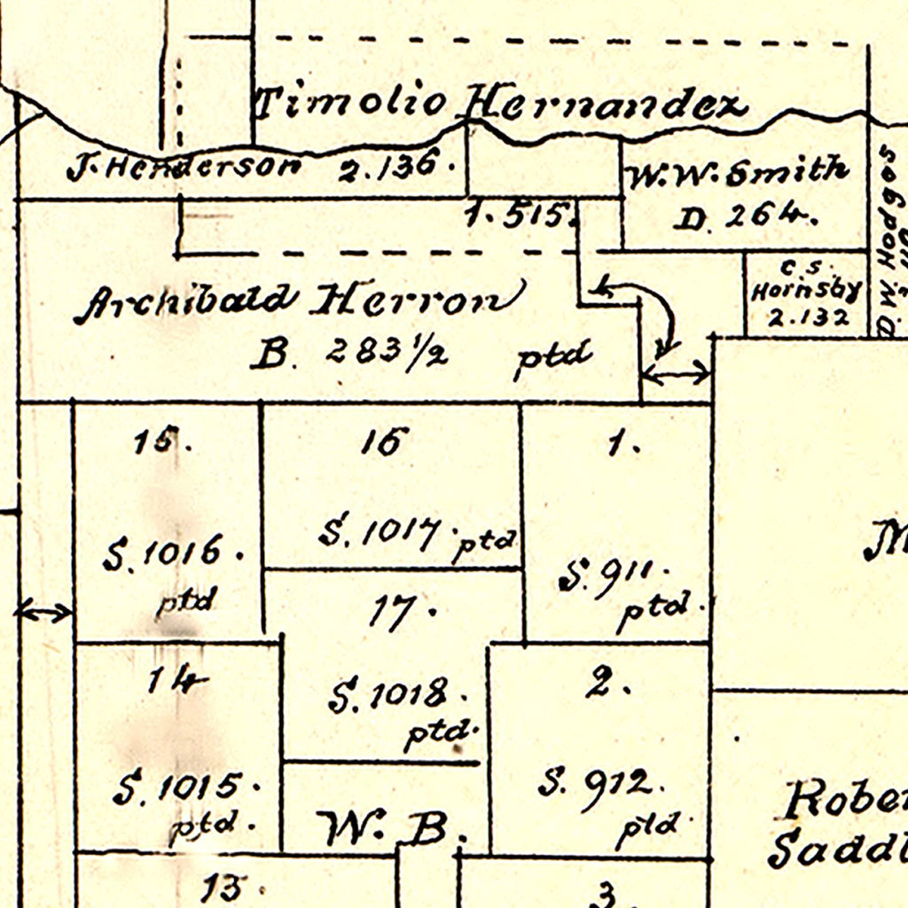 Vintage Map of San Patricio County, Texas 1879