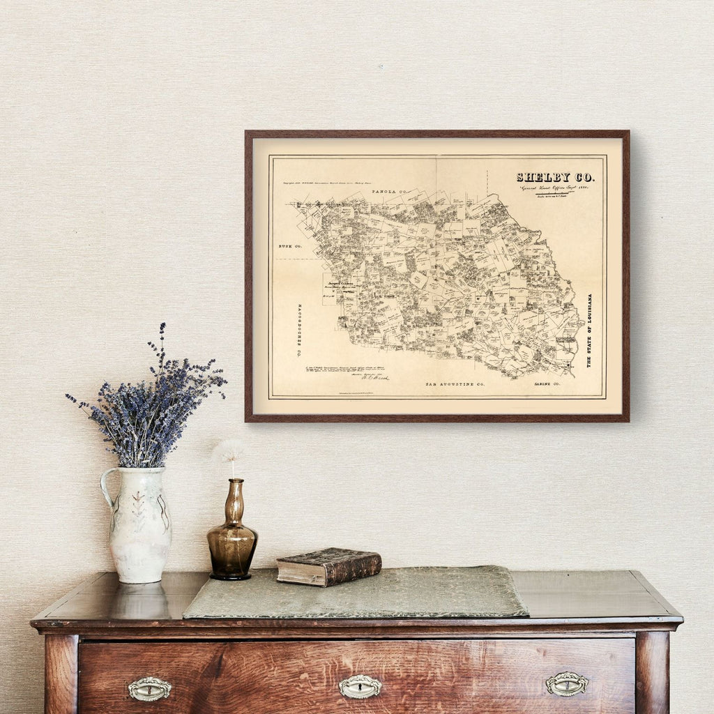 Vintage Map of Shelby County, Texas 1879