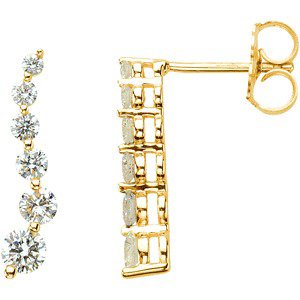 14K Yellow Gold 1/2 CTW Natural Diamond Journey Earrings