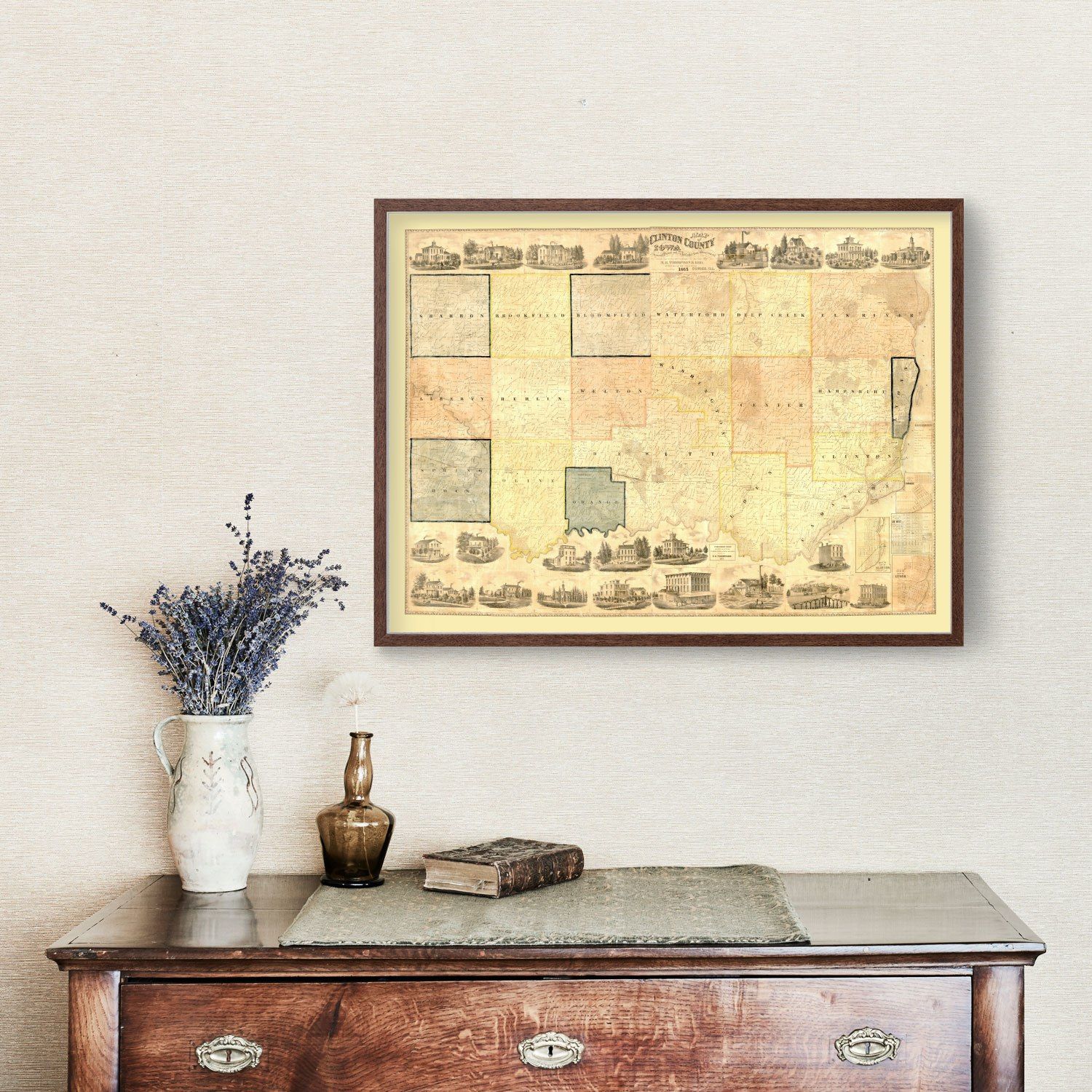 Vintage Map of Clinton County, Iowa 1865
