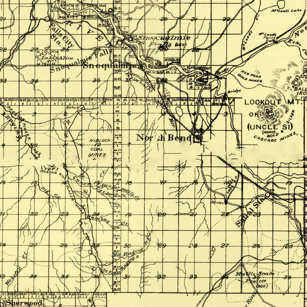Vintage Map of King County, Washington 1894