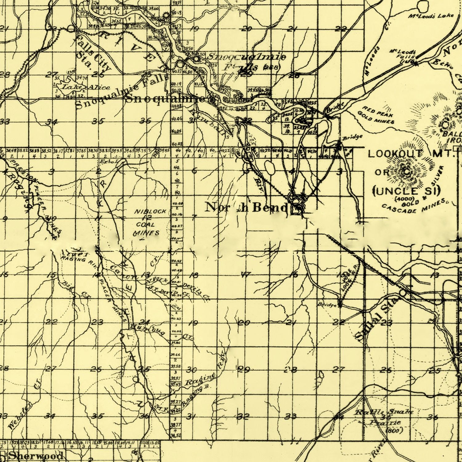 Vintage Map of King County, Washington 1894