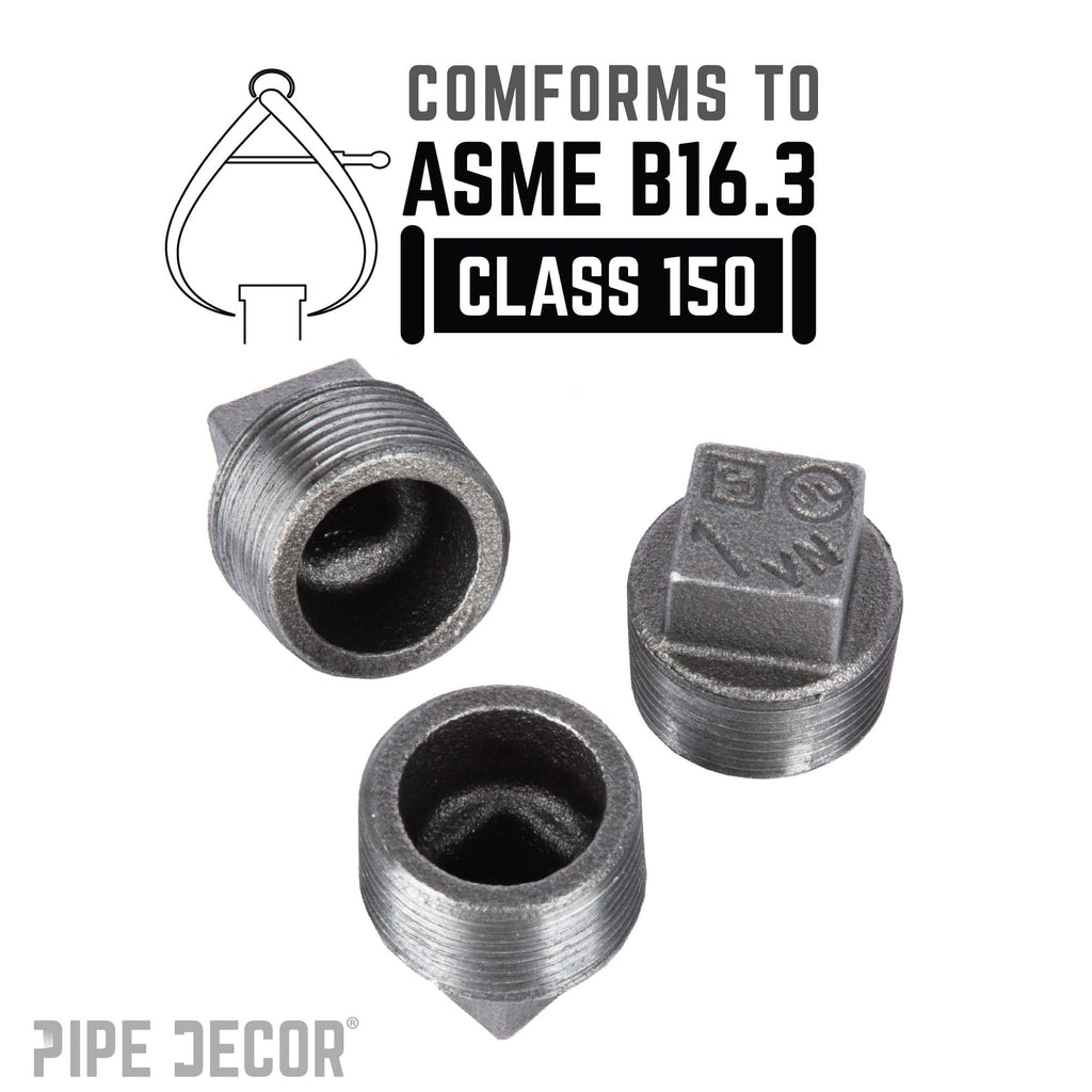 1 in. Black Plug
