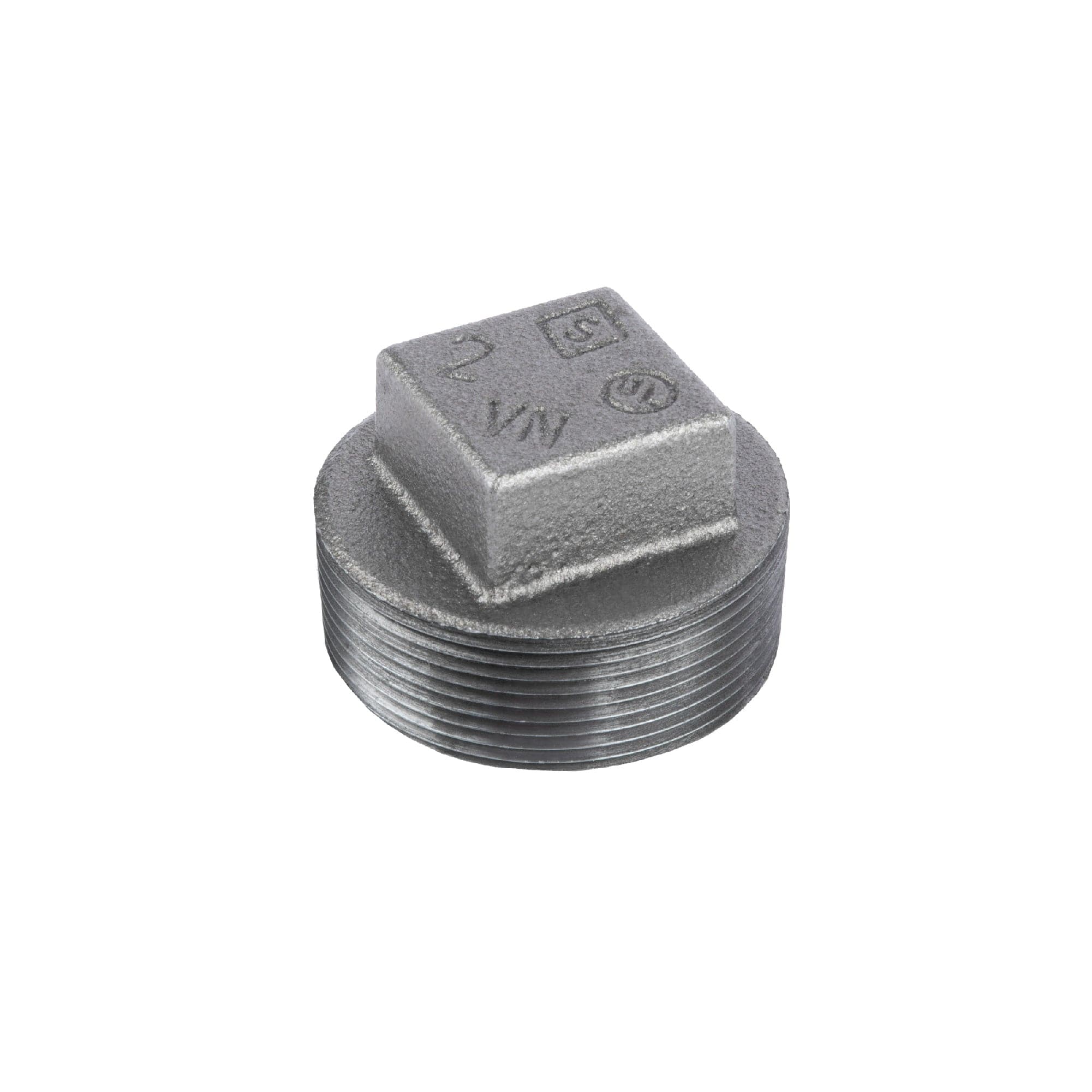 2 in. Black Plug