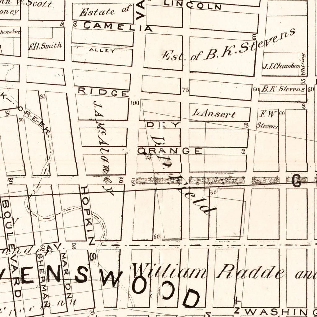 Vintage Map of Queens County, New York 1874