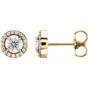 14K Yellow Gold 1/2 CTW Natural Diamond Halo-Style Earrings