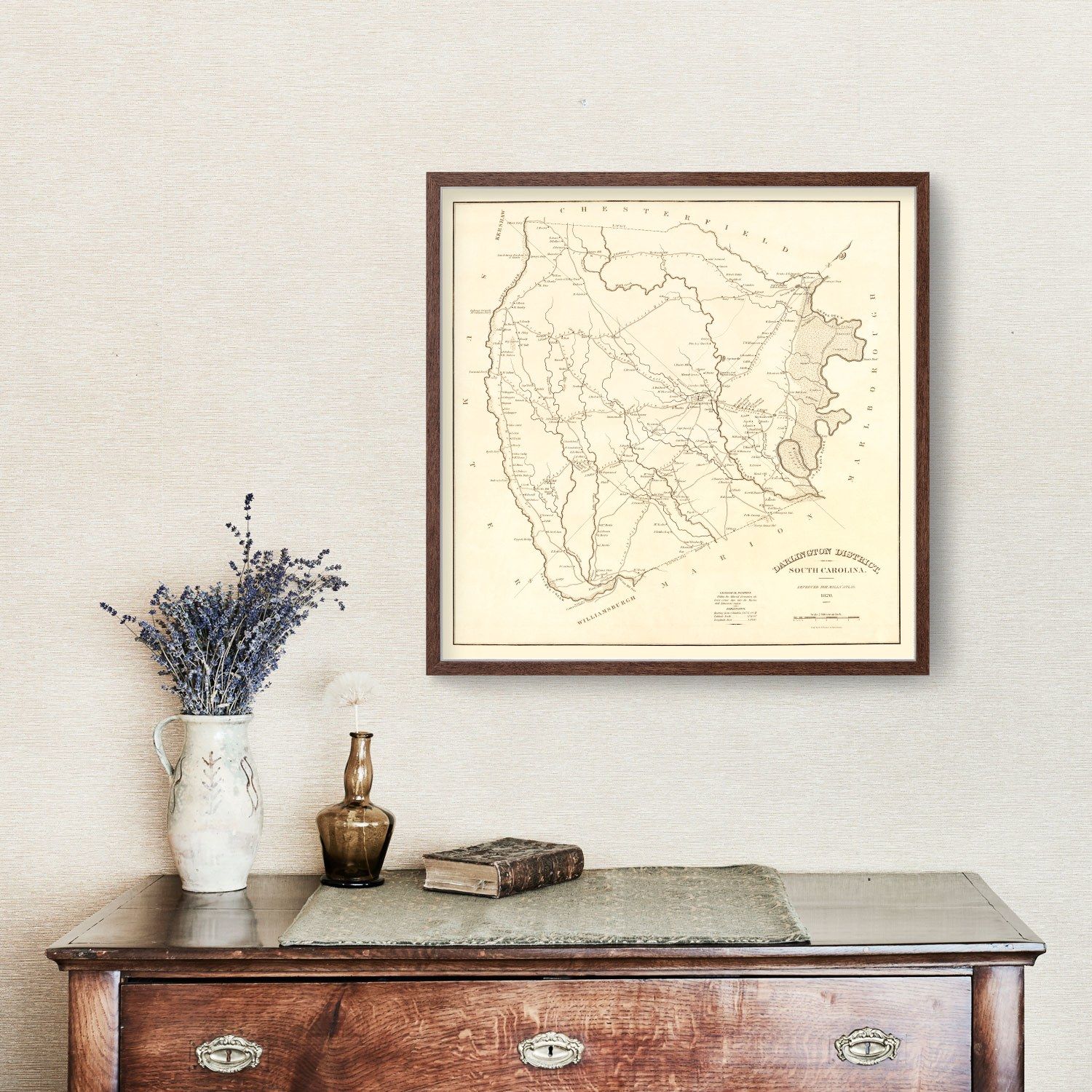 Vintage Map of Darlington District County, South Carolina 1825