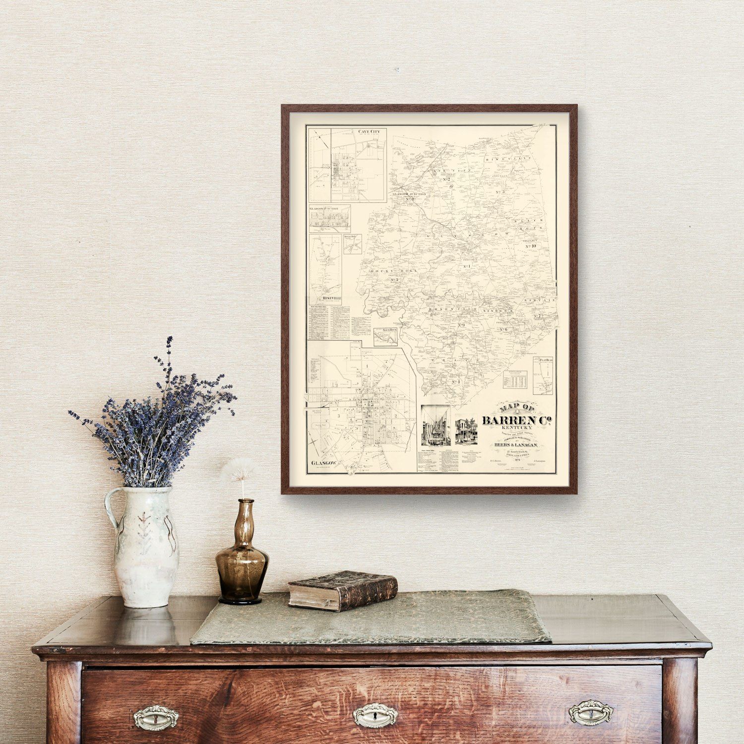 Vintage Map of Barren County, Kentucky 1879