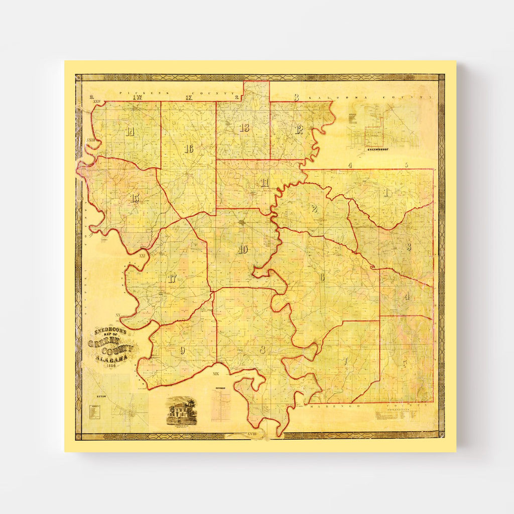Vintage Map of Greene County, Alabama 1856