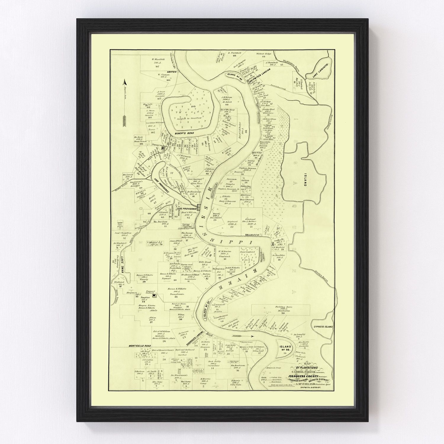 Vintage Map of Carroll Parish, Louisiana 1860