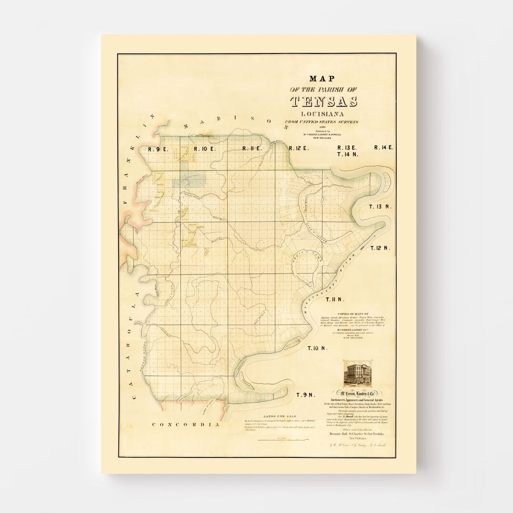 Vintage Map of Tensas Parish, Louisiana 1860