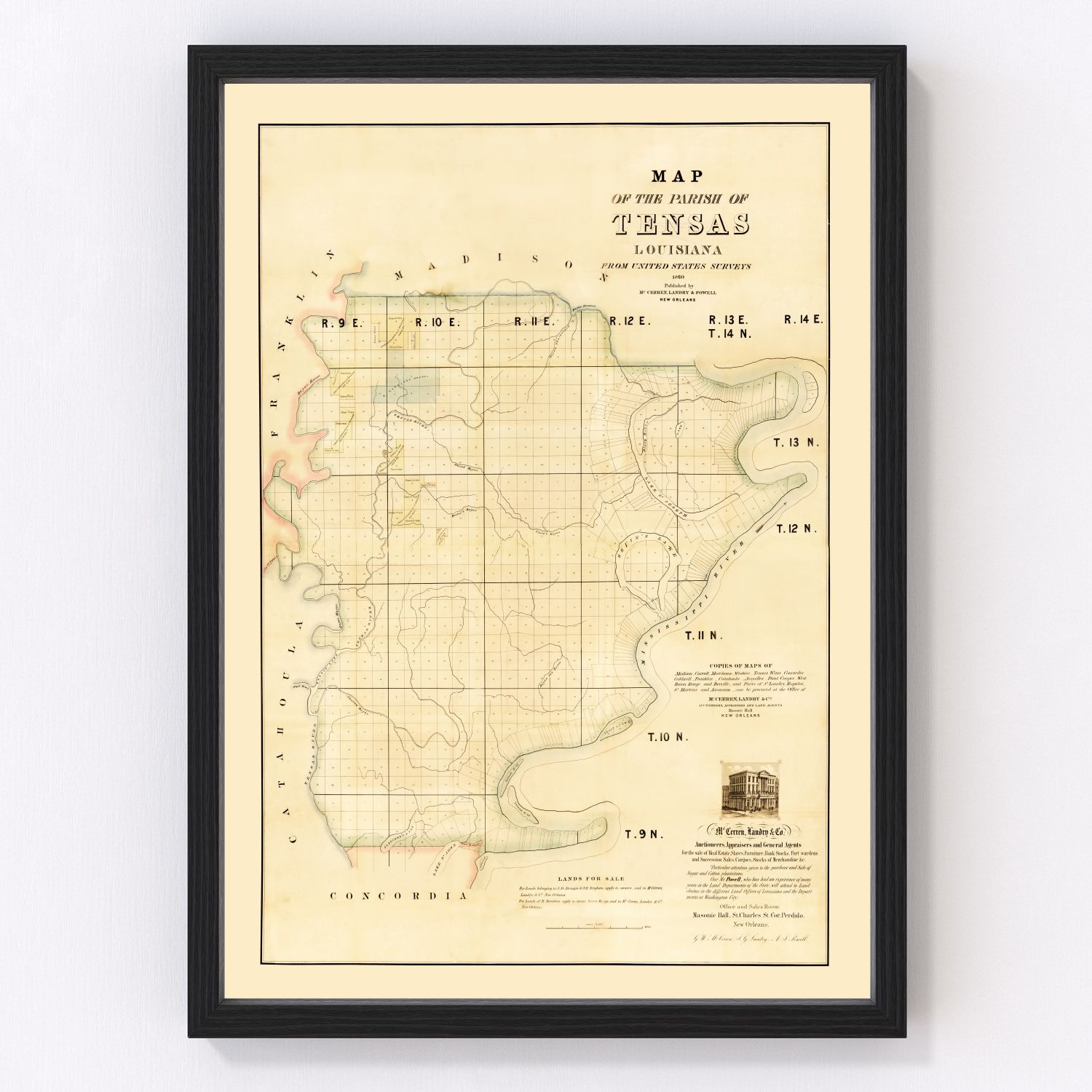 Vintage Map of Tensas Parish, Louisiana 1860