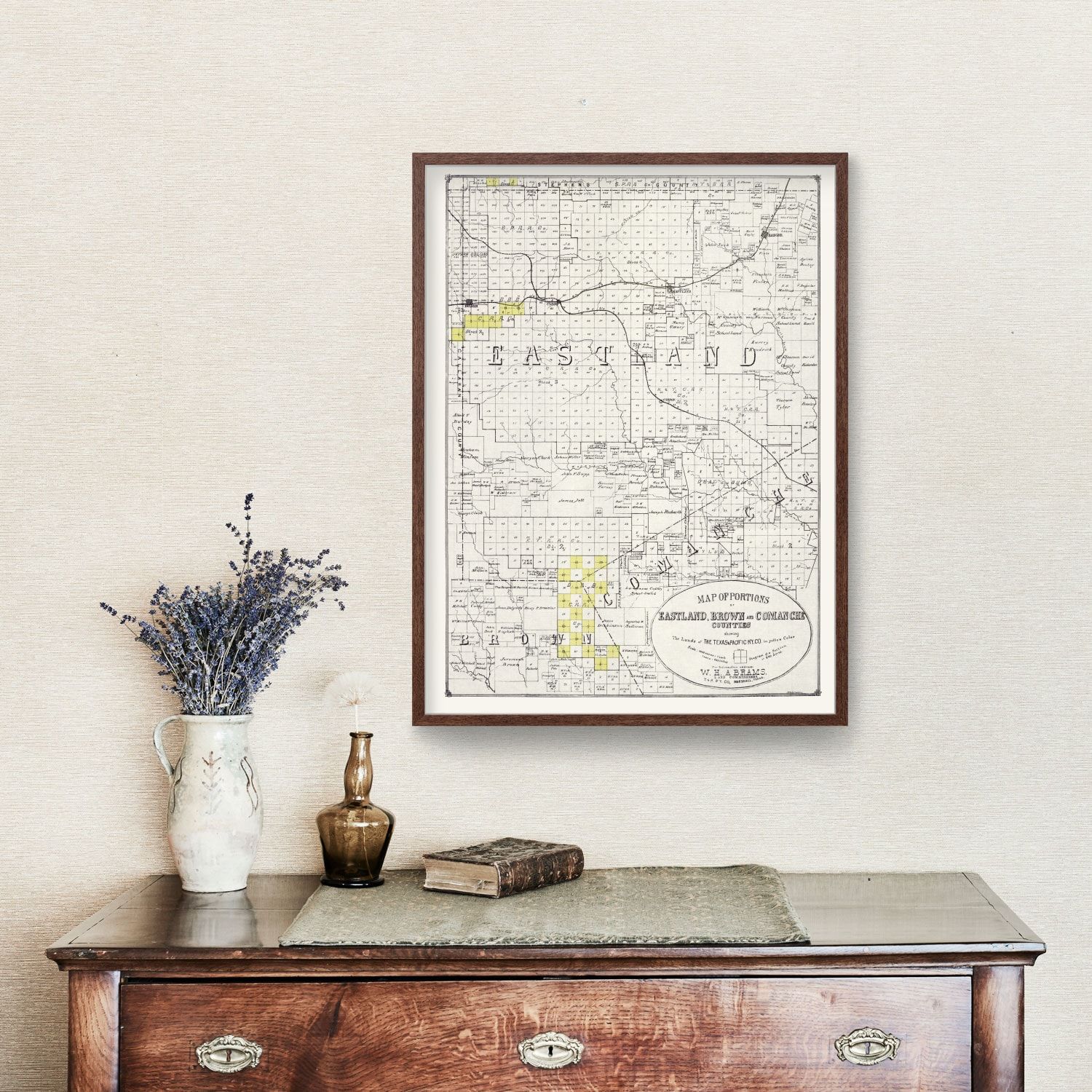 Vintage Map of Eastland County, Texas 1890