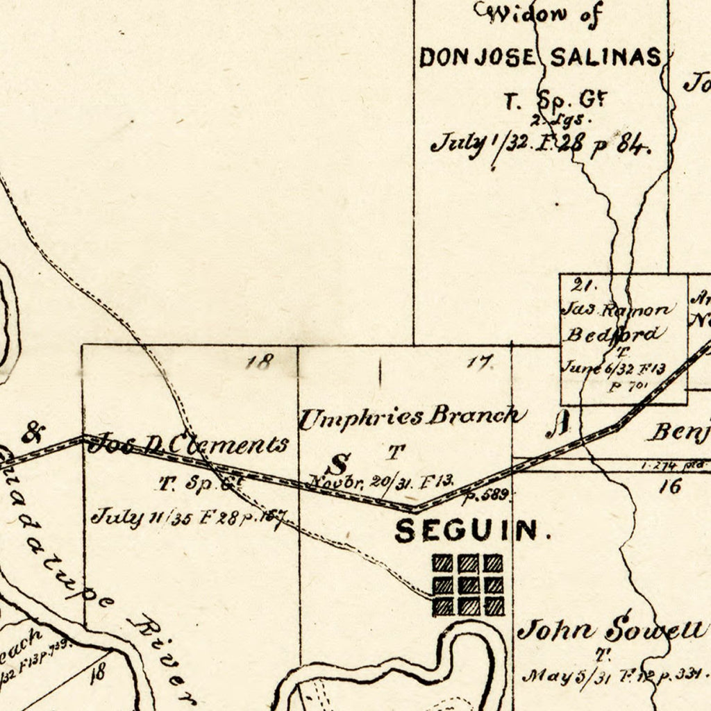 Vintage Map of Guadalupe County, Texas 1880