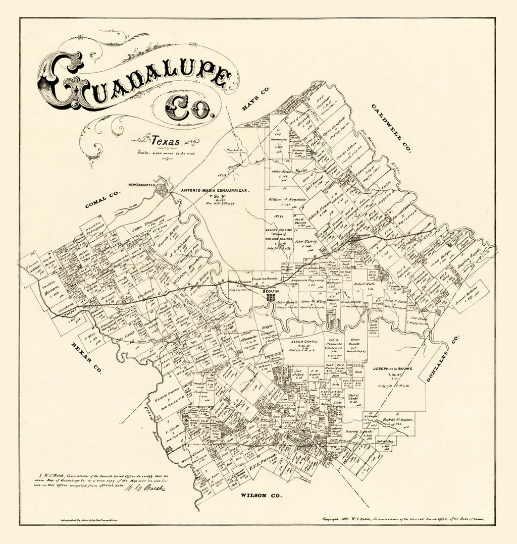 Vintage Map of Guadalupe County, Texas 1880