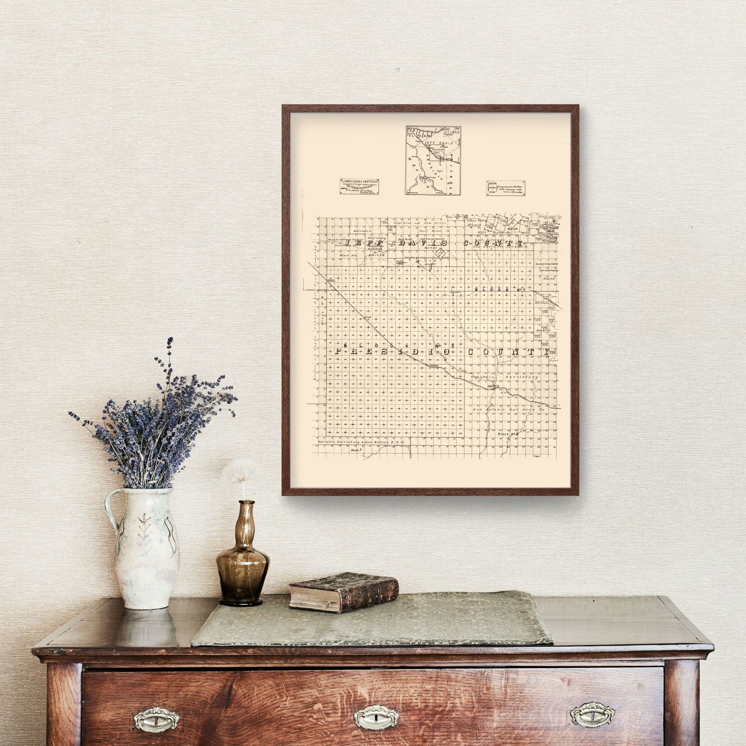 Vintage Map of Jeff Davis County, Texas 1894