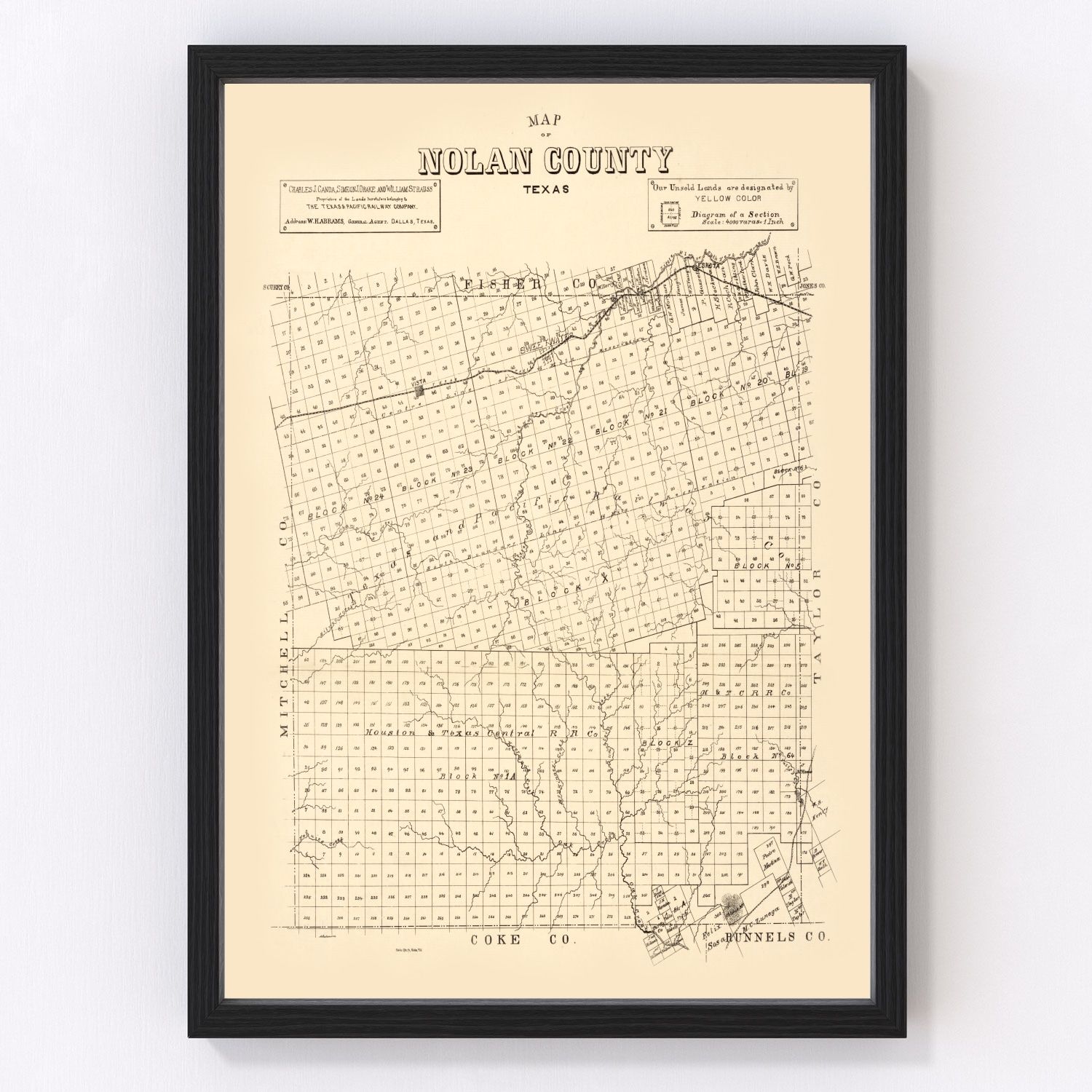 Vintage Map of Nolan County, Texas 1890