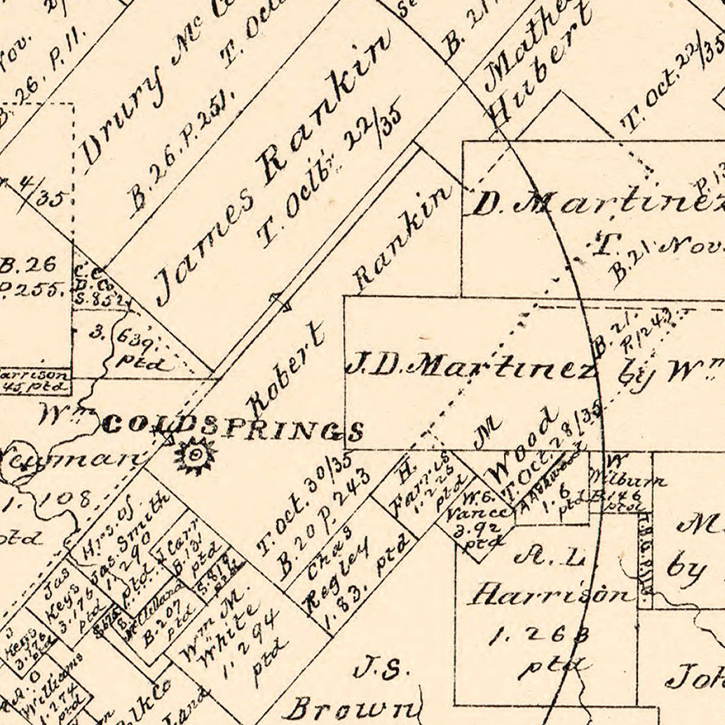 Vintage Map of San Jacinto County, Texas 1879