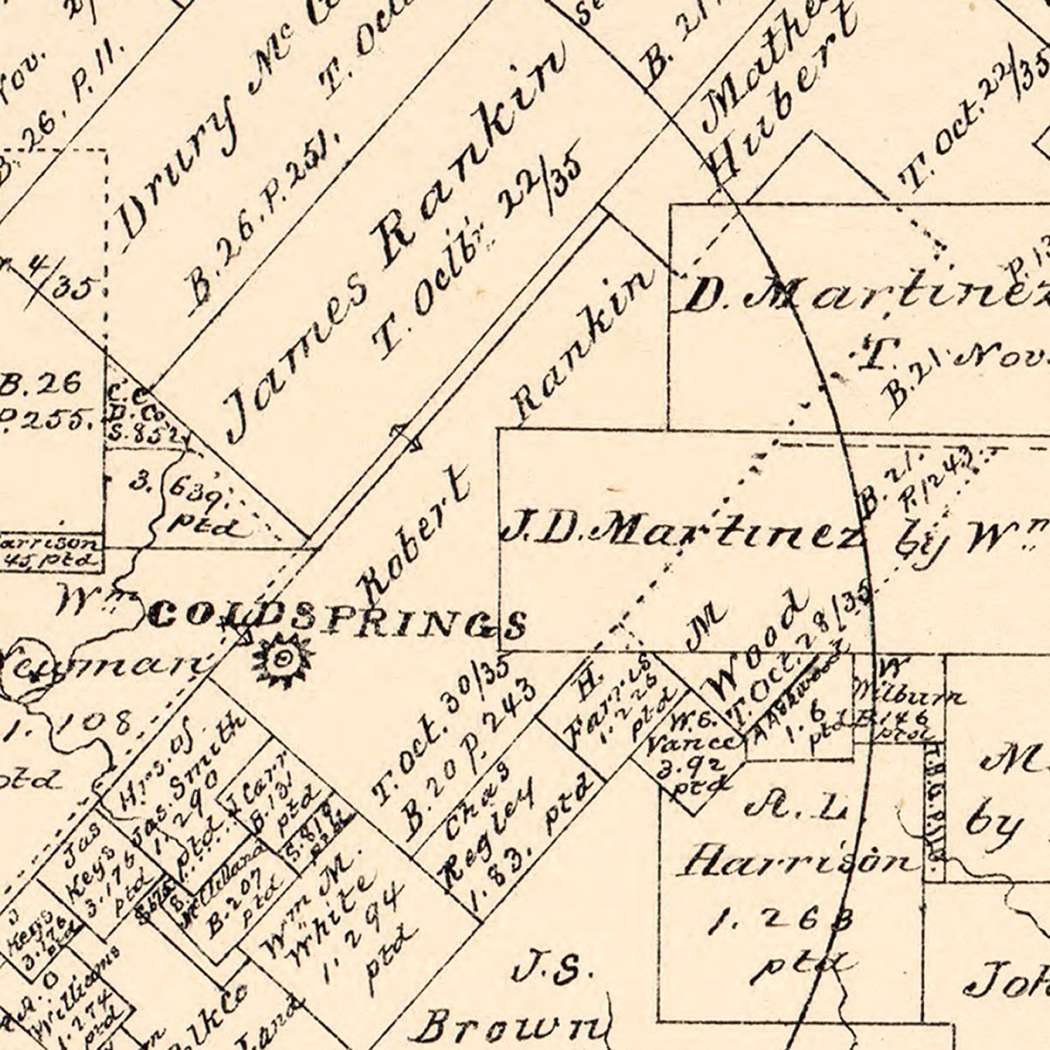 Vintage Map of San Jacinto County, Texas 1879