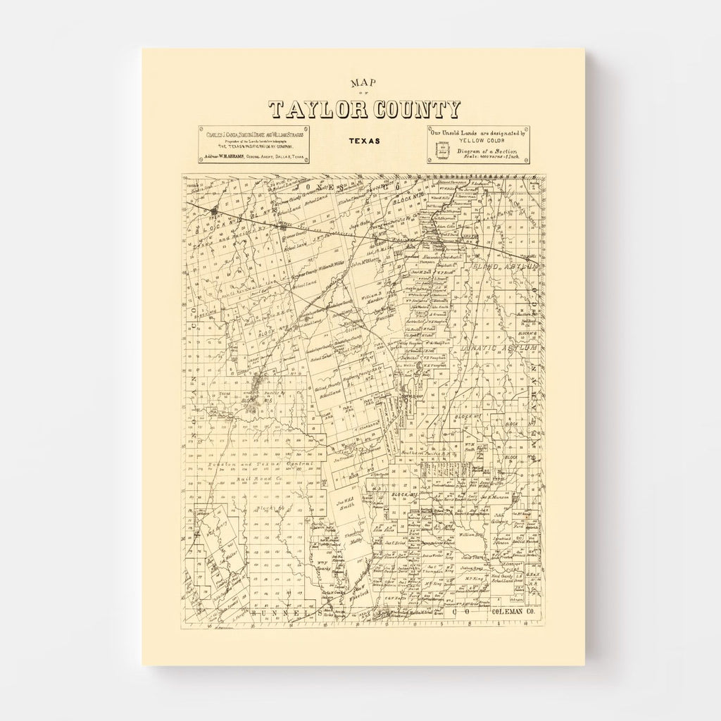 Vintage Map of Taylor County, Texas 1890