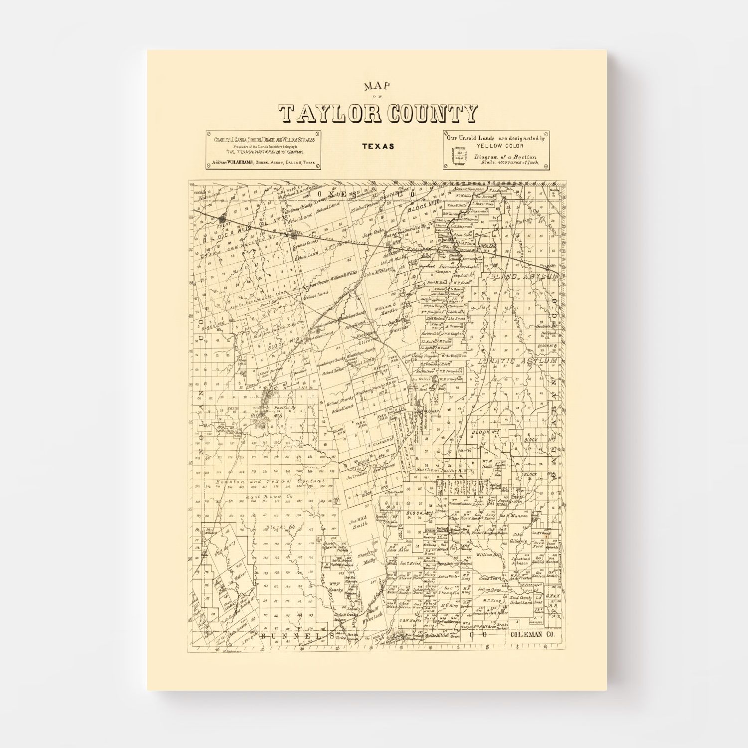 Vintage Map of Taylor County, Texas 1890
