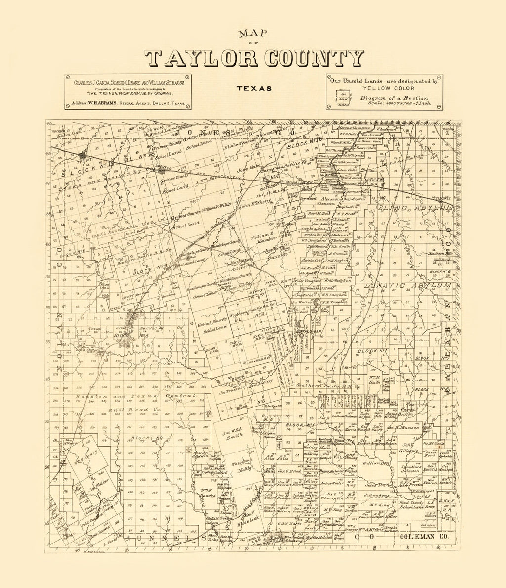 Vintage Map of Taylor County, Texas 1890