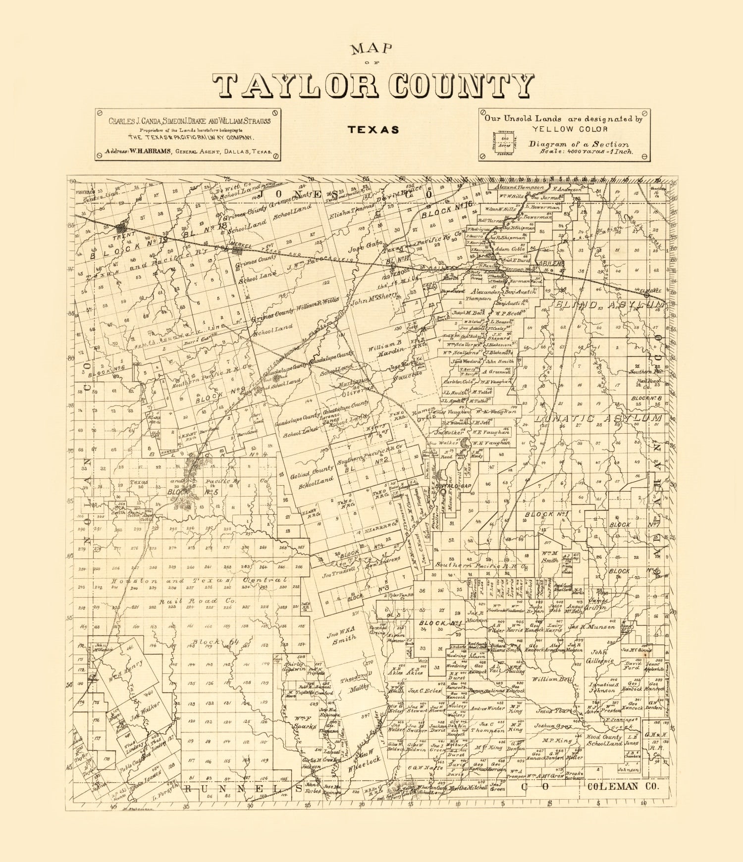 Vintage Map of Taylor County, Texas 1890