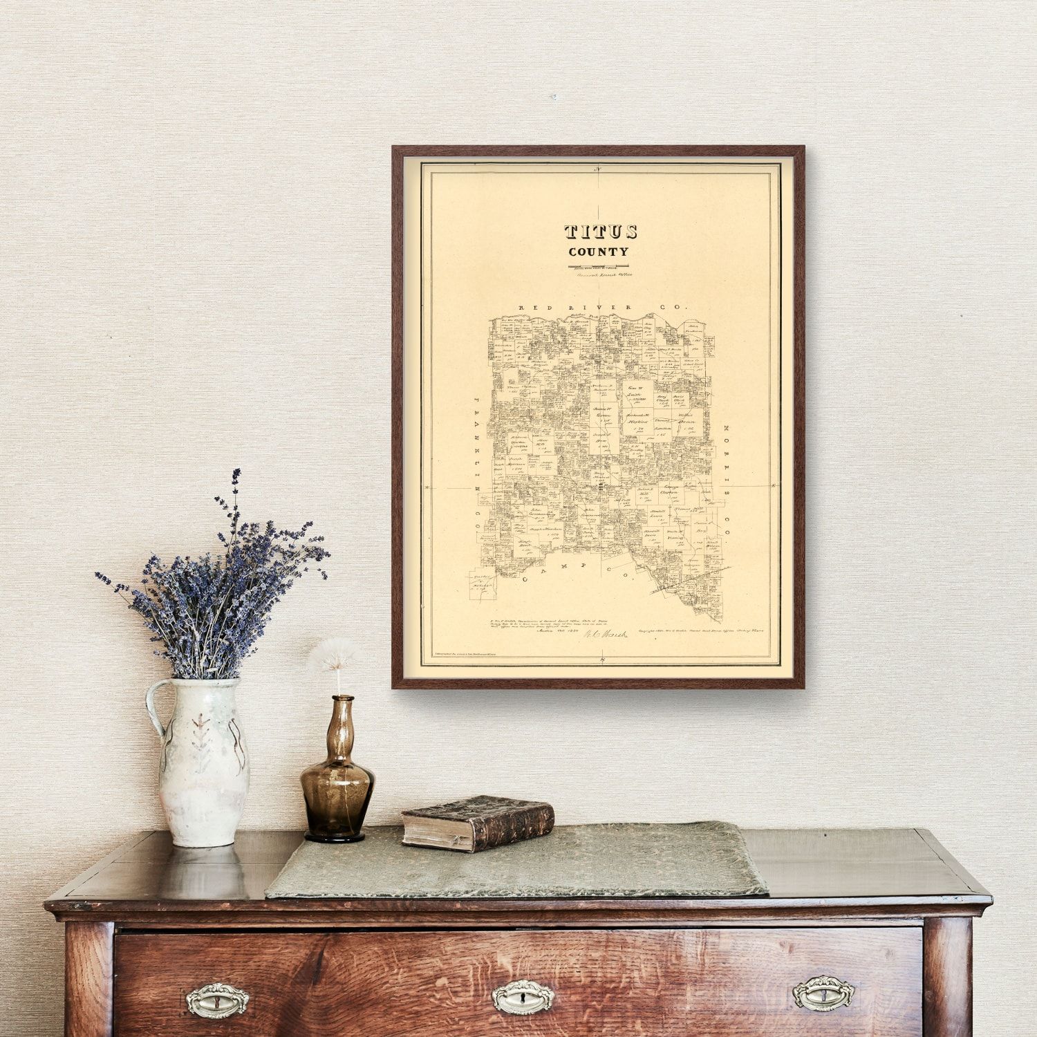 Vintage Map of Titus County, Texas 1880