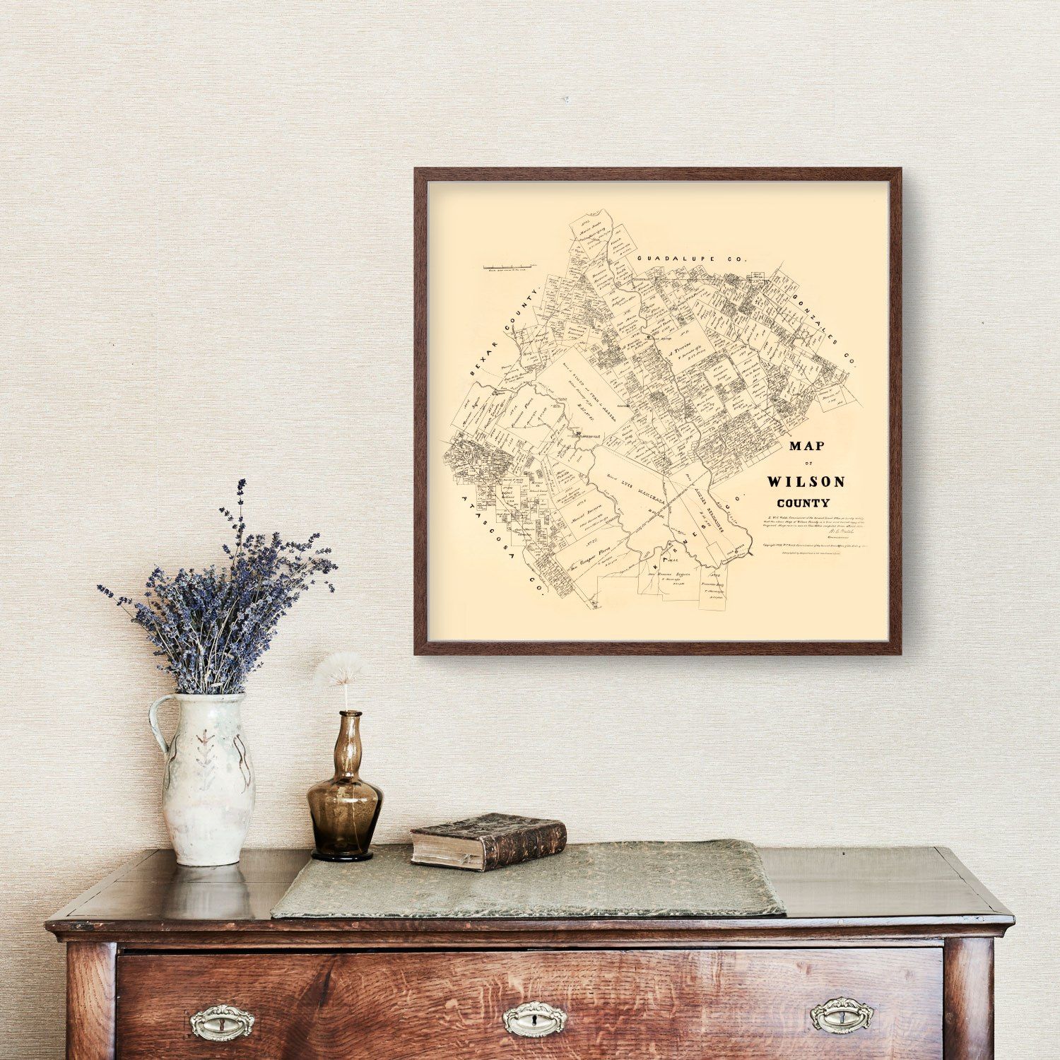 Vintage Map of Wilson County, Texas 1879