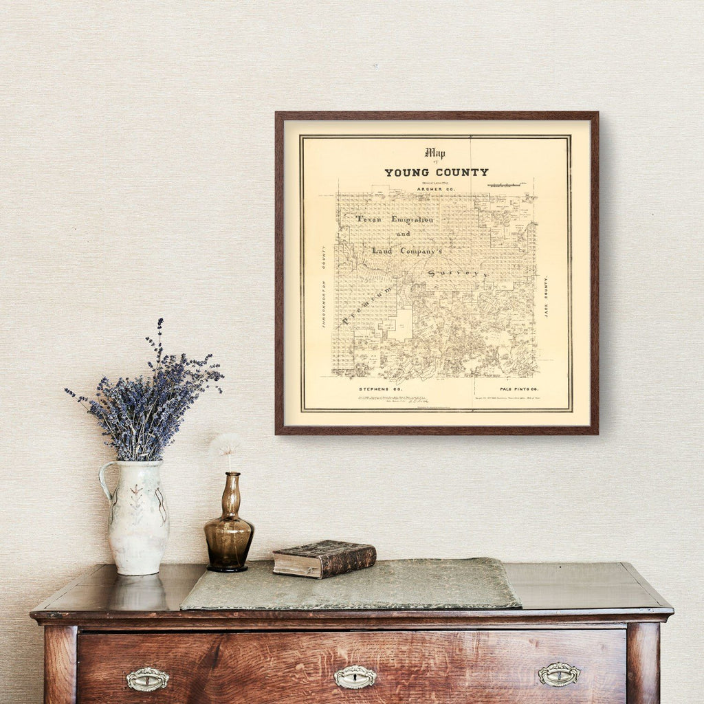 Vintage Map of Young County, Texas 1879