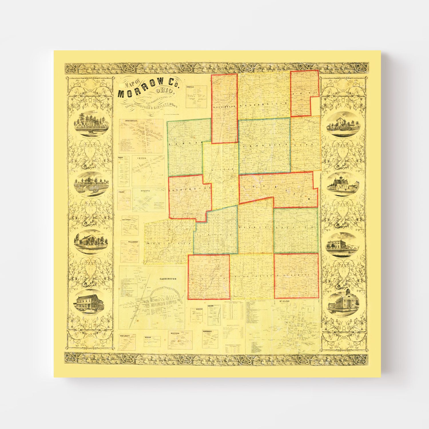 Vintage Map of Morrow County, Ohio 1857