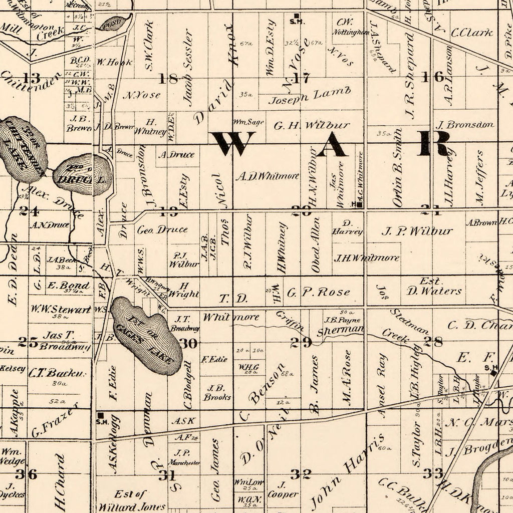 Vintage Map of Lake County, Illinois 1873