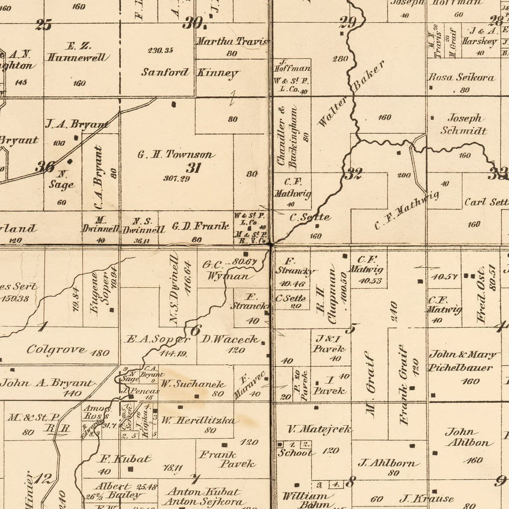 Vintage Map of Steele County, Minnesota 1879