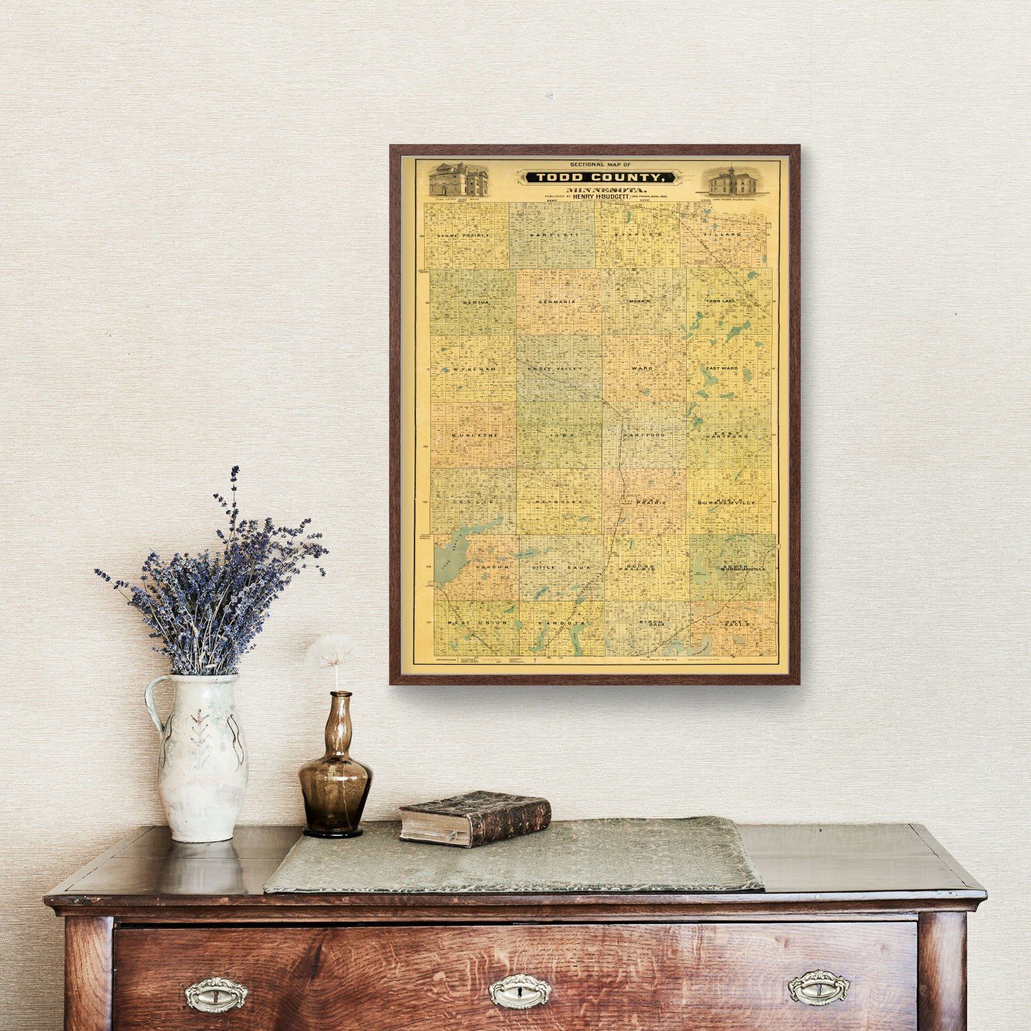 Vintage Map of Todd County, Minnesota 1890