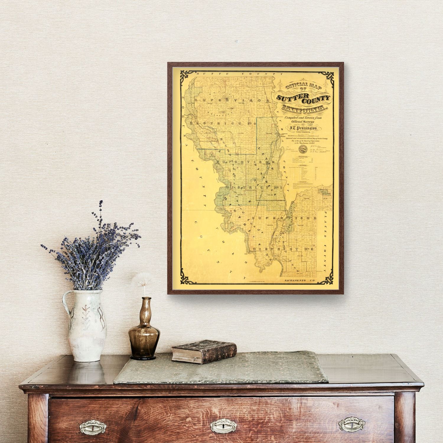 Vintage Map of Sutter County, California 1873