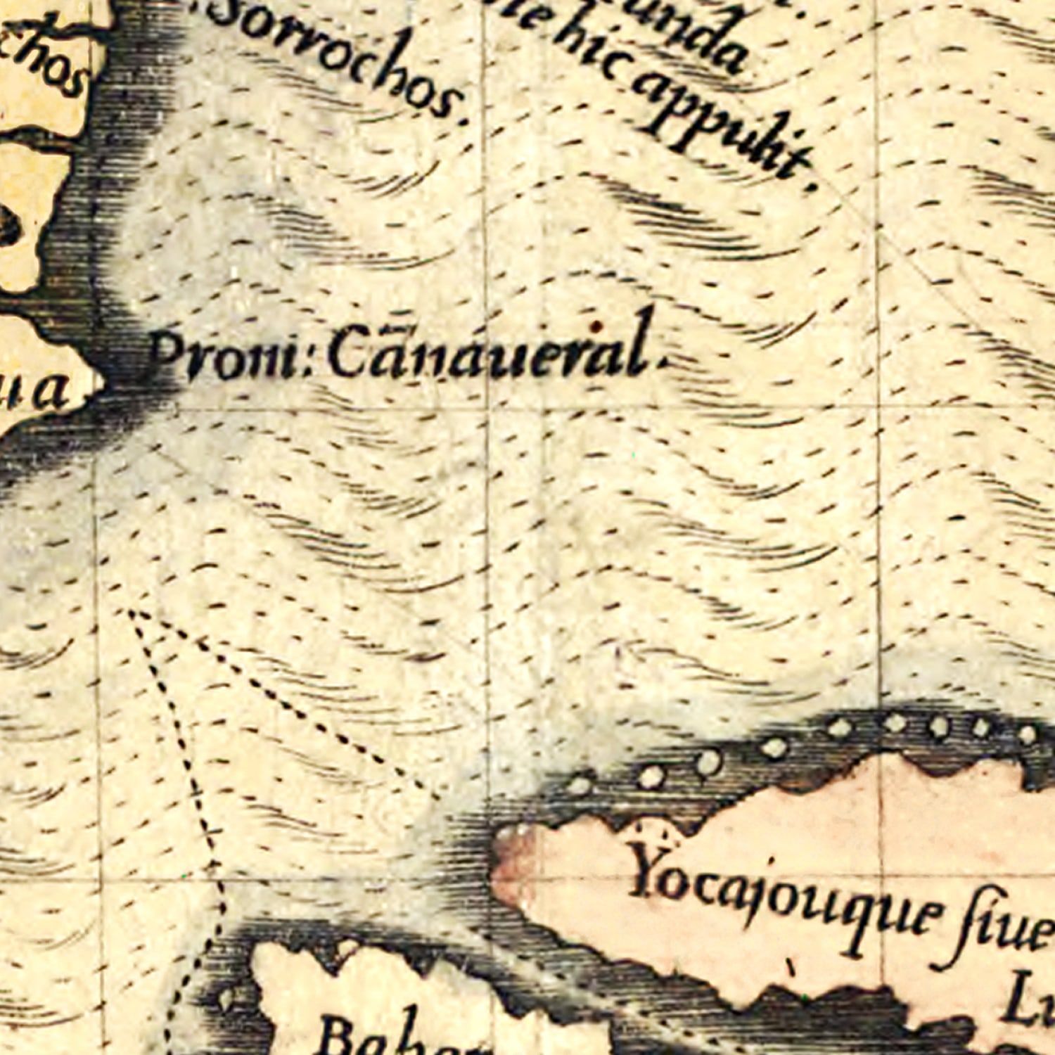 Vintage Map of Florida 1591