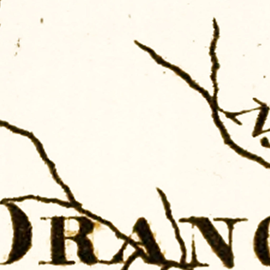 Vintage Map of South Carolina 1795