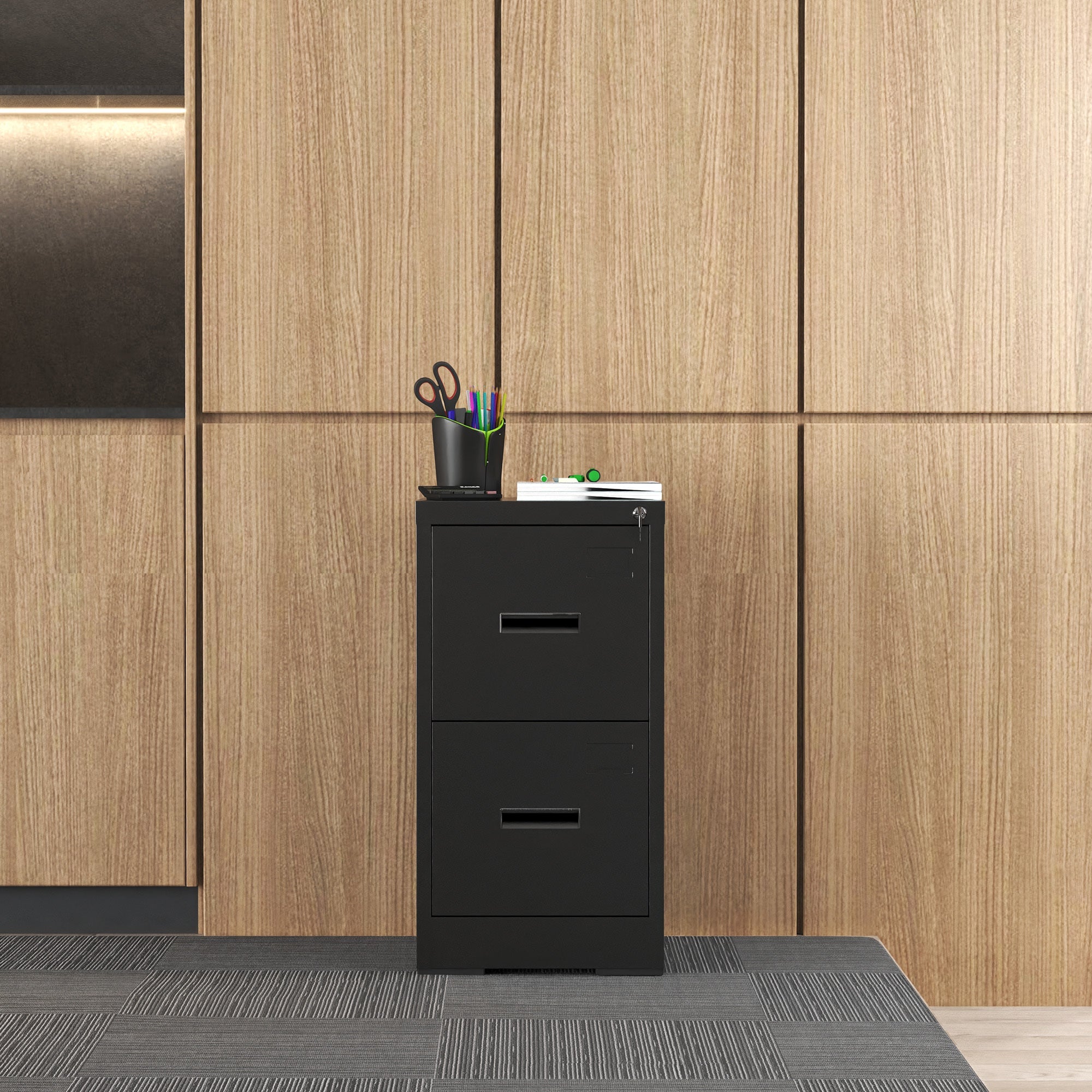 Modern Black 2 Drawer Metal Vertical File Cabinet with Lock and Card Slot for Office and Home Use