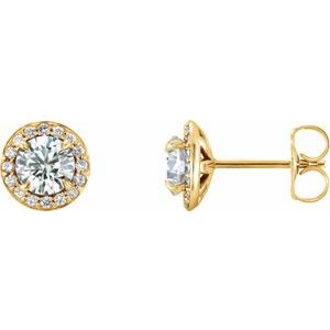 14K Yellow Gold 3/4 CTW Natural Diamond Halo-Style Earrings